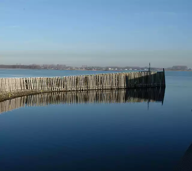Houten palen weerspiegelen in het rustige water bij Veere